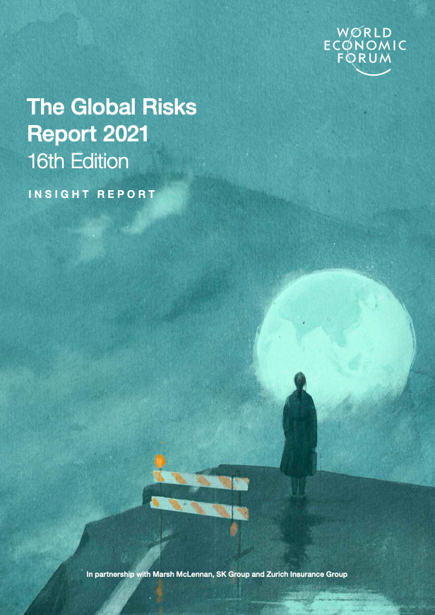 The Global Risks Report 2021